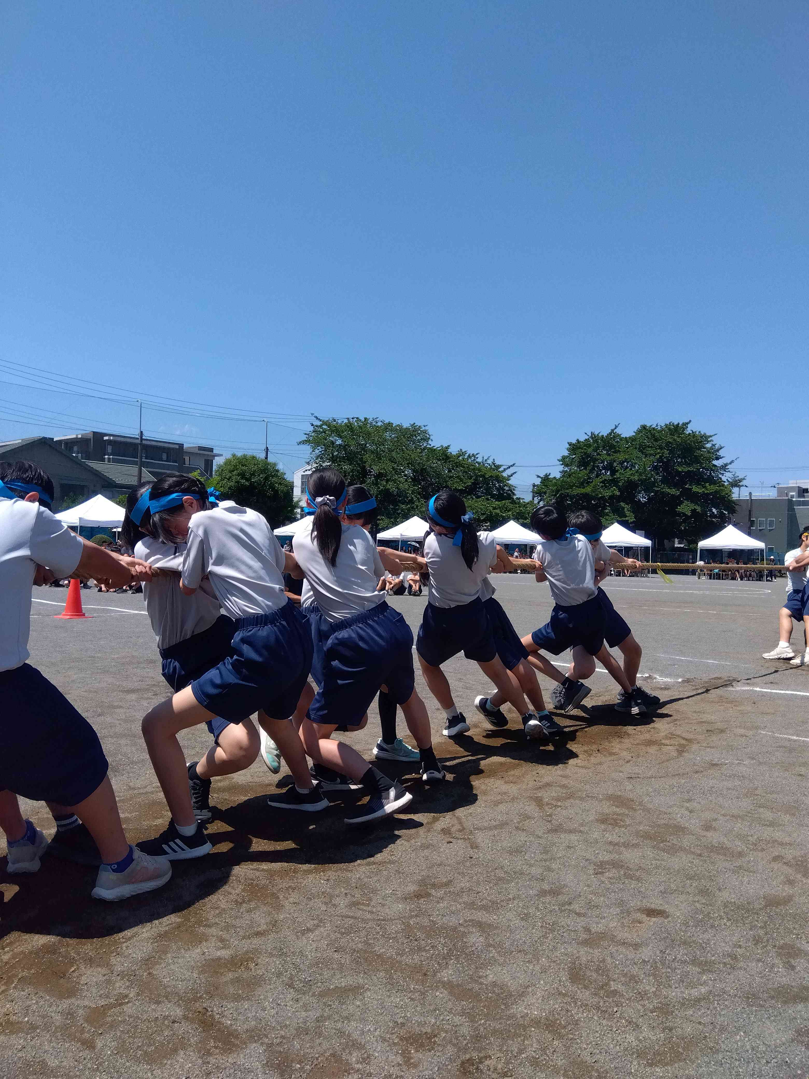 IMG_2025-06-05-10-01-19-973