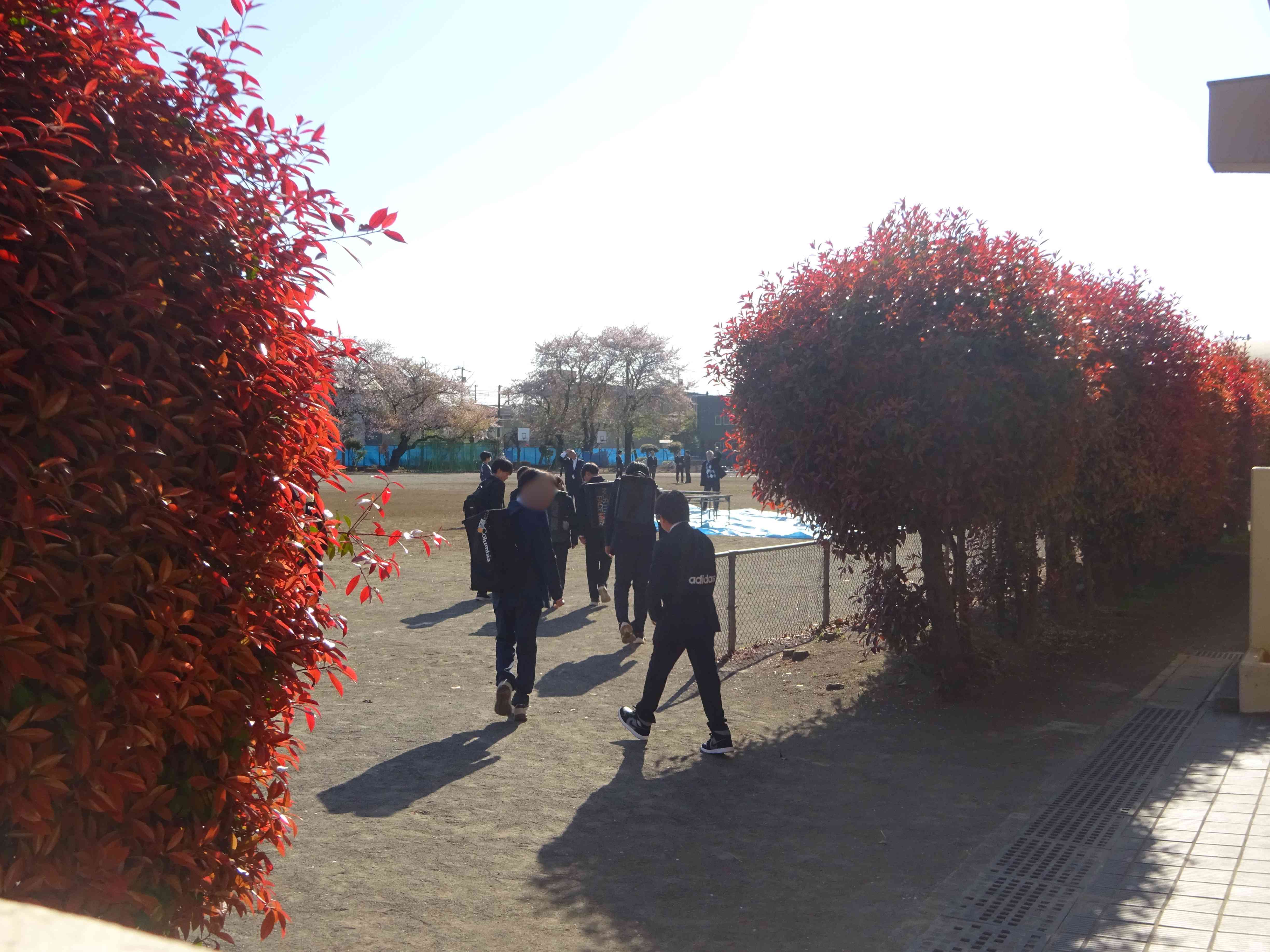 e5939c49-4a1b-4933-a947-9a25121339e7 (1)